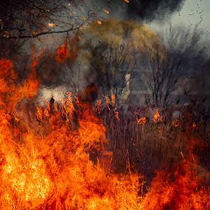 Photograph of the fire from a restorative prescribed controlled burn consuming dry prairie grass in late fall early winter in Illinois