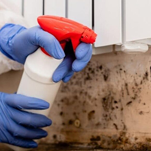 mold-remediation-important-dos-and-donts-you-need-to-know-1024x585