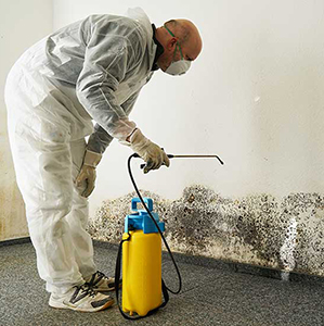 mold-removal